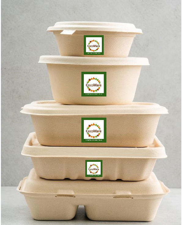 Disposable Tableware 1